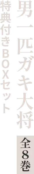 男一匹ガキ大将 全8巻 特典付きBOXセット